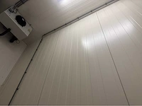Vriescel (4,80x1,60 mtr) (8 m2) - afbeelding 7 van  12