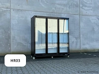 Vriezer glazen deur tripel hr03