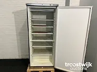 Vriezer - afbeelding 10 van  10