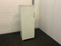 Vriezer - afbeelding 1 van  9