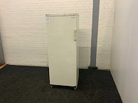 Vriezer - afbeelding 2 van  9