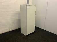 Vriezer - afbeelding 4 van  9