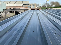 Vrijstaande carport / overkapping 1000x300x247 cm - afbeelding 2 van  11