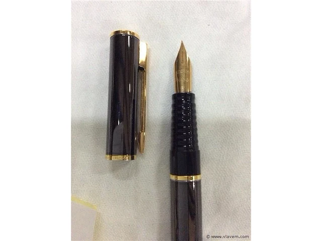 Vulpen waterman ( oud/nieuw) - afbeelding 3 van  3