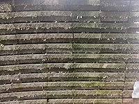 Vuren plank 500x20x3.2 cm (25x) - afbeelding 5 van  6