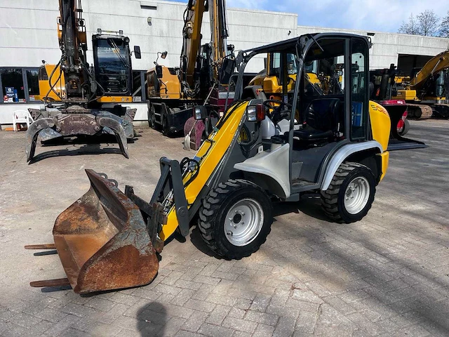 Wacker neuson 5025 wiellader - afbeelding 1 van  10
