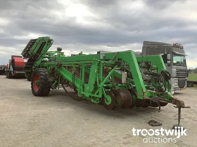 Wagenrooier - afbeelding 6 van  13