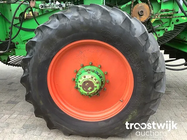 Wagenrooier - afbeelding 9 van  13