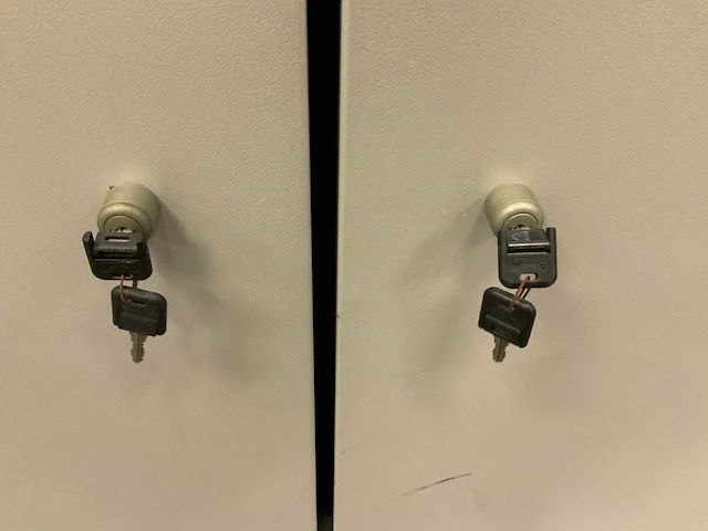 Waldner gevaarlijke stoffen kast - afbeelding 13 van  20