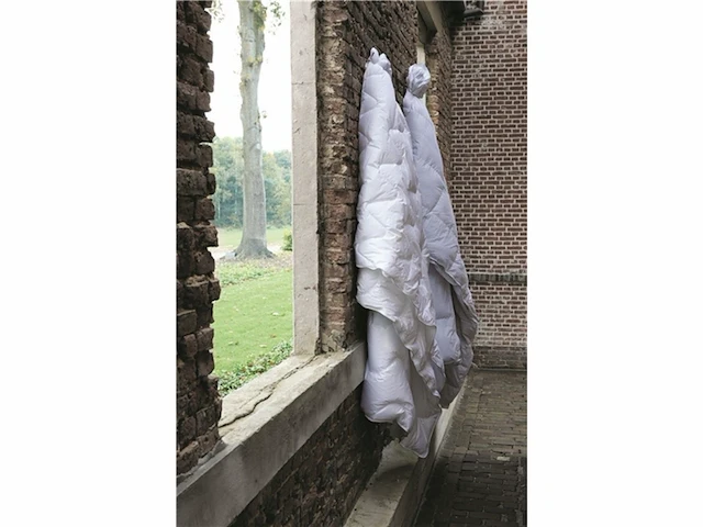 Walra dekbed paris tijk:50% katoen,50% polyester vulling:100% polyester 140x200 wit - afbeelding 3 van  3