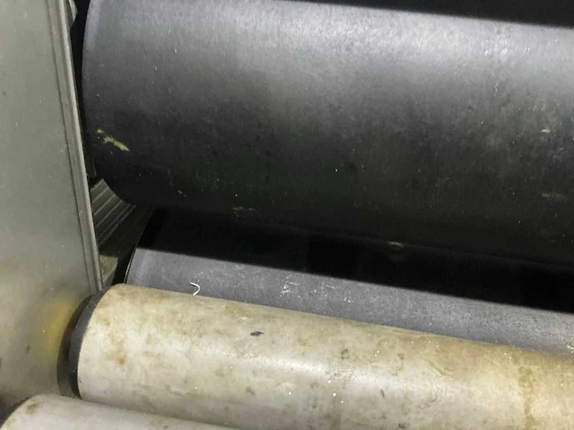 Wals - afbeelding 6 van  11