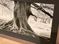 Wanddecoratie - afbeelding 3 van  5