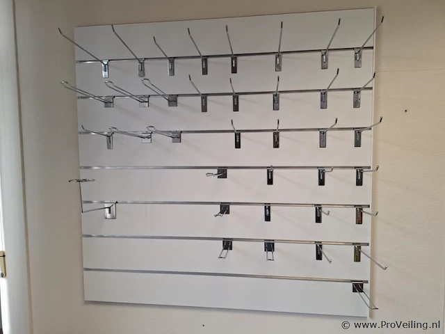 Wanddisplay met ophanghaken - afbeelding 1 van  3