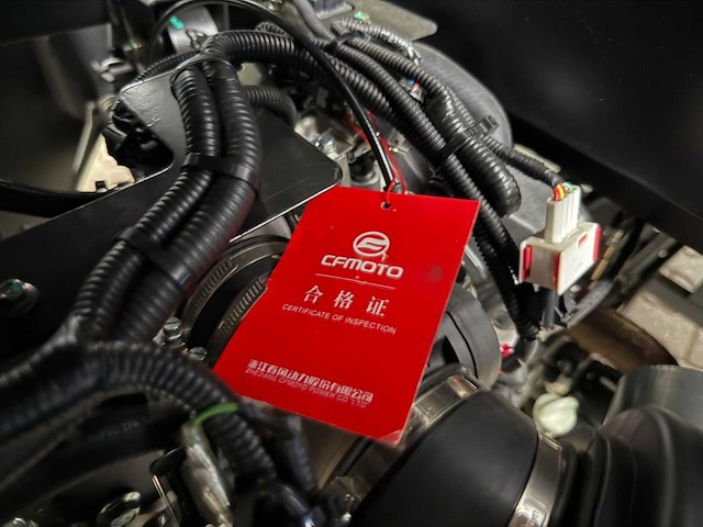 Warrior - 1000 mxd - utv / buggy / gator / quad - afbeelding 7 van  34