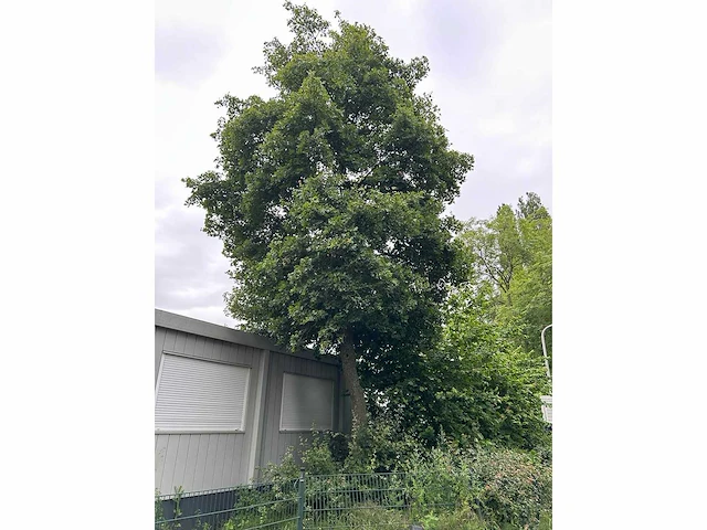 Warsco 10-delige geschakeld schoolgebouw - afbeelding 17 van  17