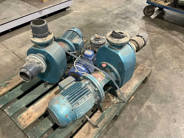 Waterpomp (3x) - afbeelding 1 van  7