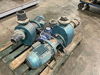 Waterpomp (3x) - afbeelding 1 van  7