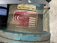 Waterpomp (3x) - afbeelding 6 van  7