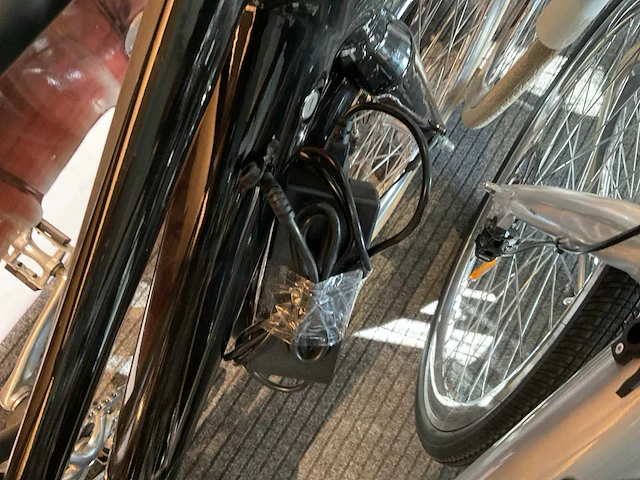 Watt electric elektrische fiets - afbeelding 7 van  7