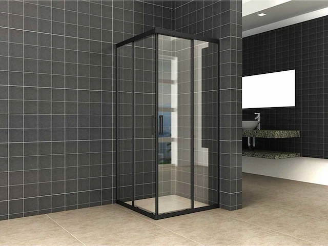 Wb - 20.3716 - skyline cabine 8 mm mat-black profiles - afbeelding 1 van  4