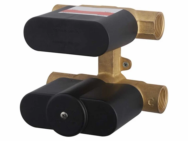 Wb - 292542-29.3300 - inbouwdouchekraan set - afbeelding 2 van  5
