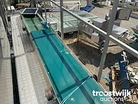 Weeglijn met rvs entresol - afbeelding 15 van  28
