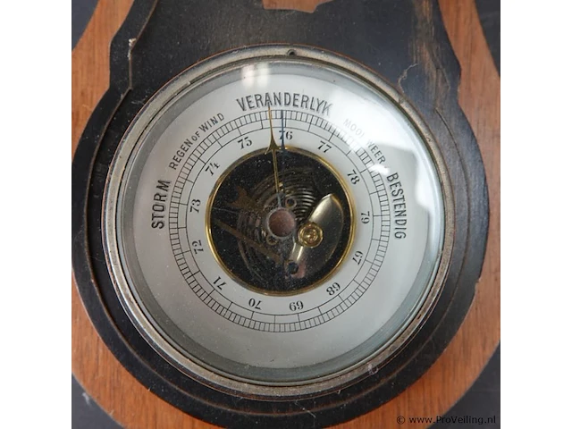 Weerstation in hout gevat - afbeelding 3 van  5