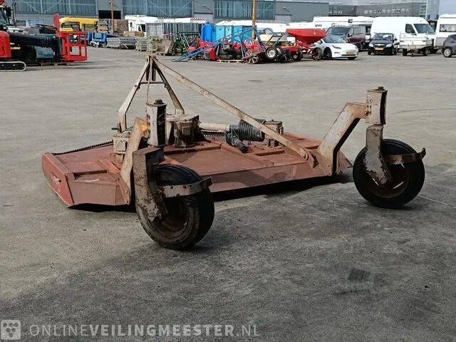Weidebloter squire - afbeelding 2 van  16