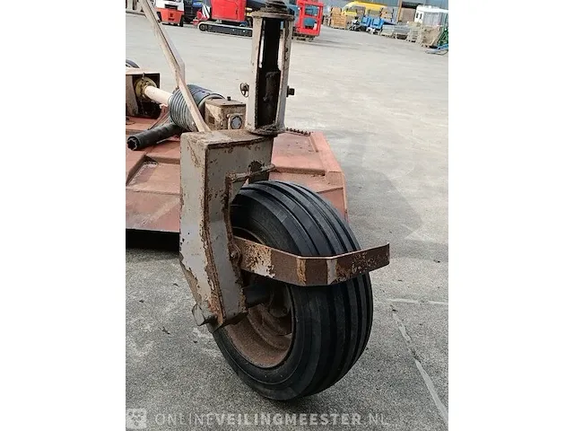 Weidebloter squire - afbeelding 3 van  16