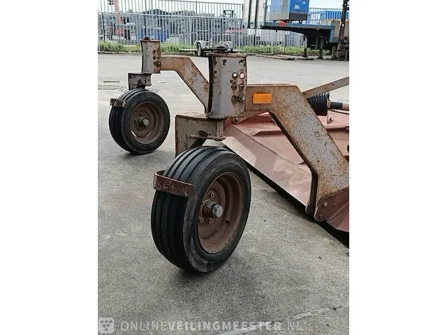 Weidebloter squire - afbeelding 4 van  16