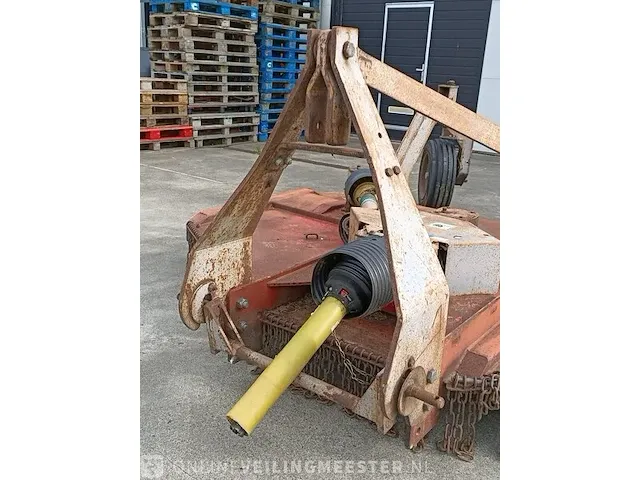 Weidebloter squire - afbeelding 6 van  16