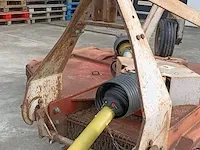 Weidebloter squire - afbeelding 6 van  16