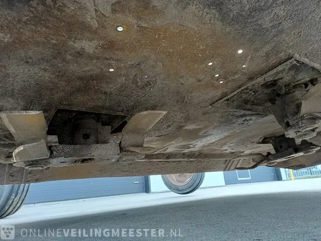 Weidebloter squire - afbeelding 7 van  16