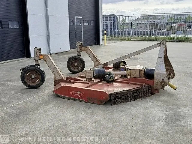 Weidebloter squire - afbeelding 9 van  16
