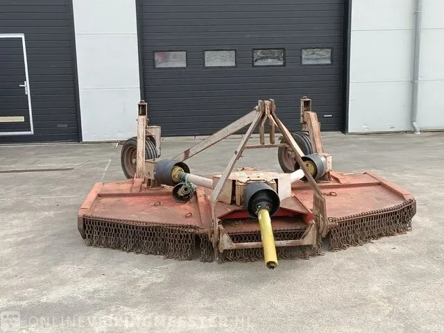 Weidebloter squire - afbeelding 10 van  16