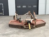Weidebloter squire - afbeelding 10 van  16