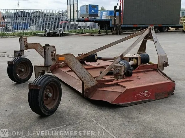 Weidebloter squire - afbeelding 12 van  16