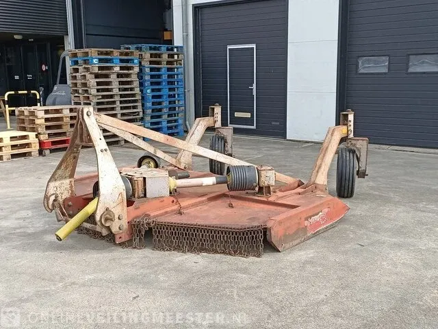 Weidebloter squire - afbeelding 14 van  16