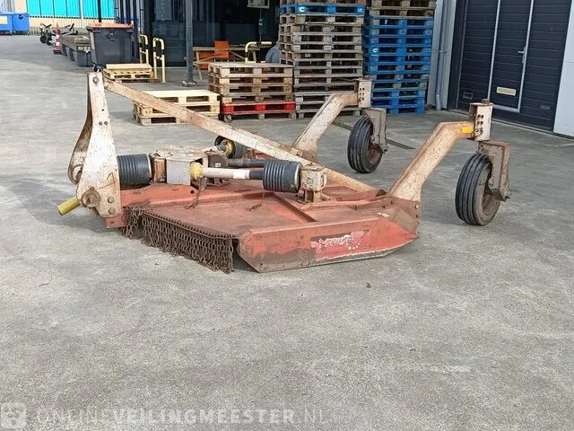 Weidebloter squire - afbeelding 15 van  16