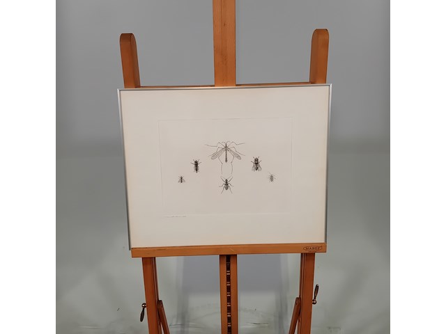 Werk op papier/aquarel, jan hensema, insekten, 1982 - afbeelding 1 van  9