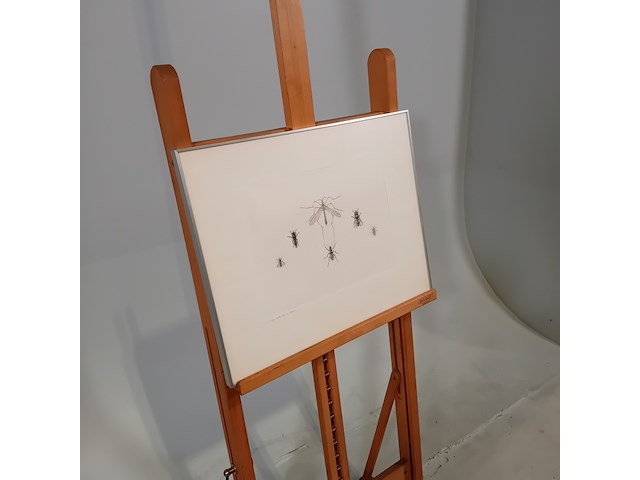 Werk op papier/aquarel, jan hensema, insekten, 1982 - afbeelding 2 van  9