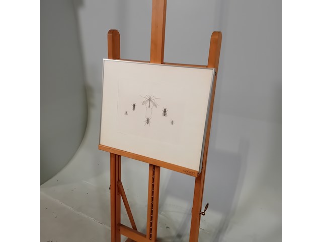 Werk op papier/aquarel, jan hensema, insekten, 1982 - afbeelding 3 van  9