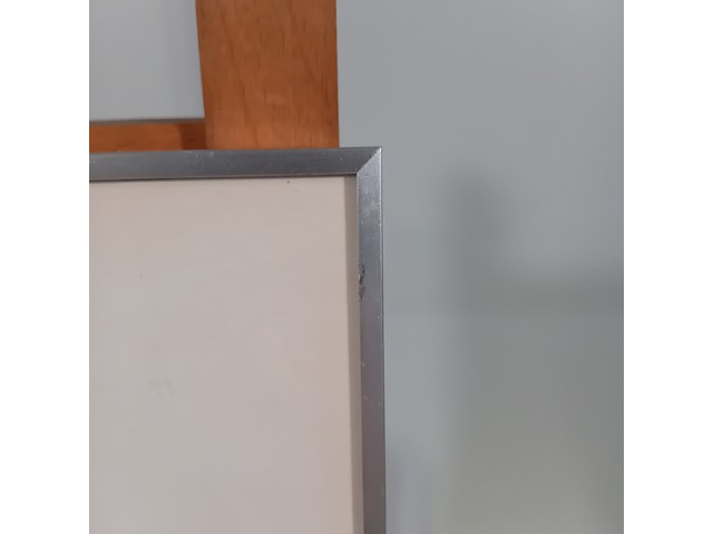 Werk op papier/aquarel, jan hensema, insekten, 1982 - afbeelding 5 van  9