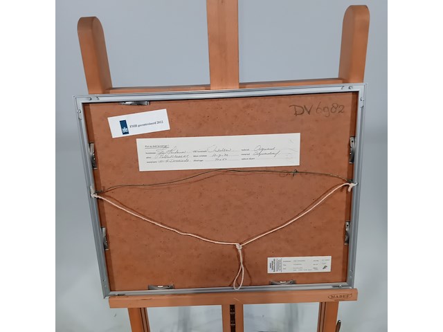 Werk op papier/aquarel, jan hensema, insekten, 1982 - afbeelding 7 van  9