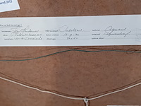 Werk op papier/aquarel, jan hensema, insekten, 1982 - afbeelding 8 van  9