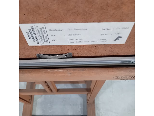 Werk op papier/aquarel, jan hensema, insekten, 1982 - afbeelding 9 van  9