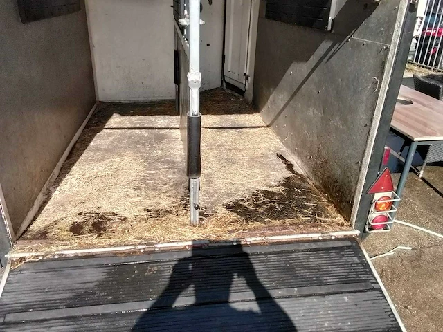 Westfalia - jupiter xl 24 - paardentrailer - afbeelding 18 van  18