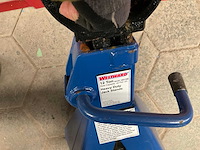 Westward assteun (2x) - afbeelding 3 van  3