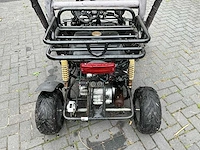 Wevo buggy - afbeelding 7 van  11