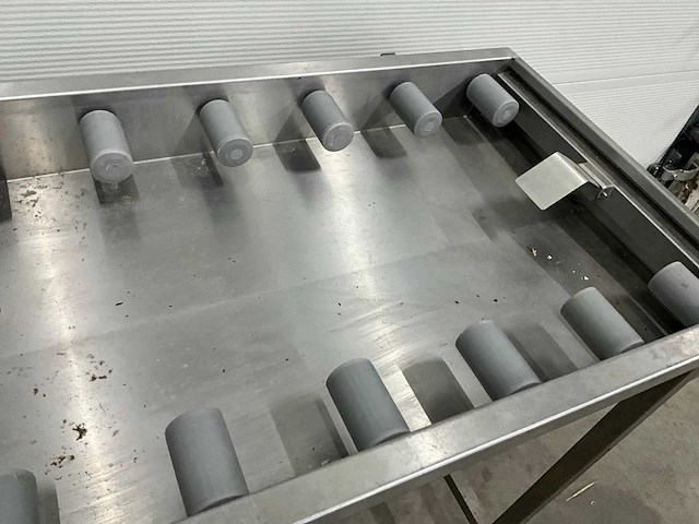 Wexiödisk rvs rollerbaan - afbeelding 5 van  6